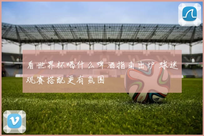 看世界杯喝什么啤酒指南出炉 球迷观赛搭配更有氛围