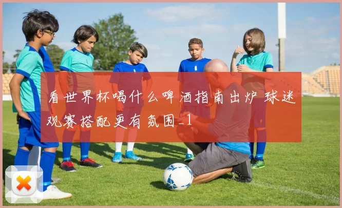 看世界杯喝什么啤酒指南出炉 球迷观赛搭配更有氛围_1