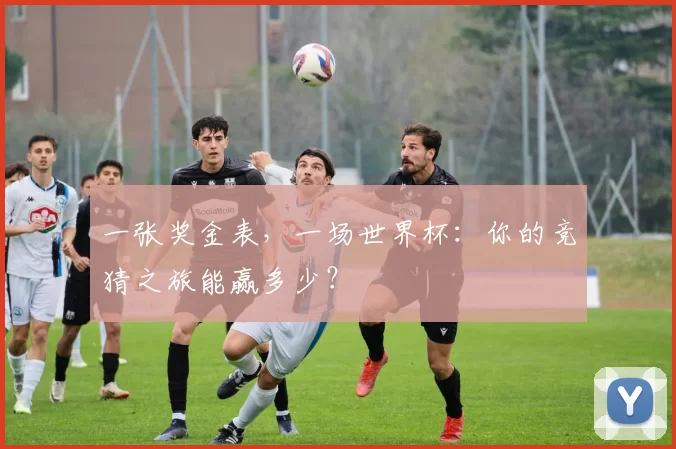 一张奖金表，一场世界杯：你的竞猜之旅能赢多少？
