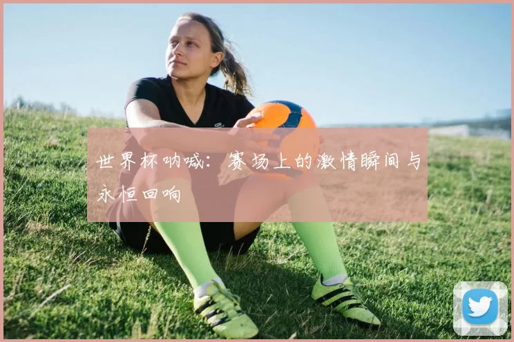 世界杯呐喊：赛场上的激情瞬间与永恒回响