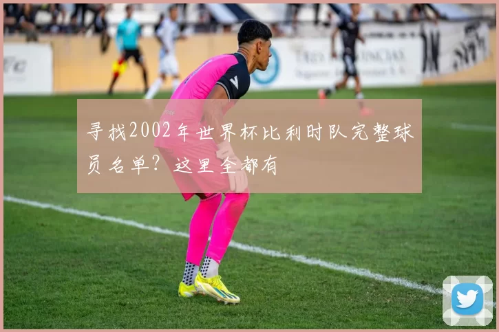寻找2002年世界杯比利时队完整球员名单?这里全都有