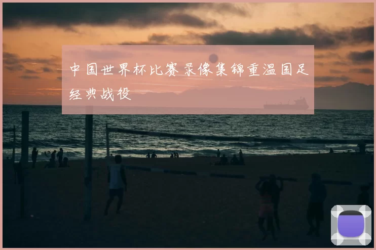 中国世界杯比赛录像集锦重温国足经典战役