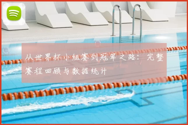 从世界杯小组赛到冠军之路：完整赛程回顾与数据统计