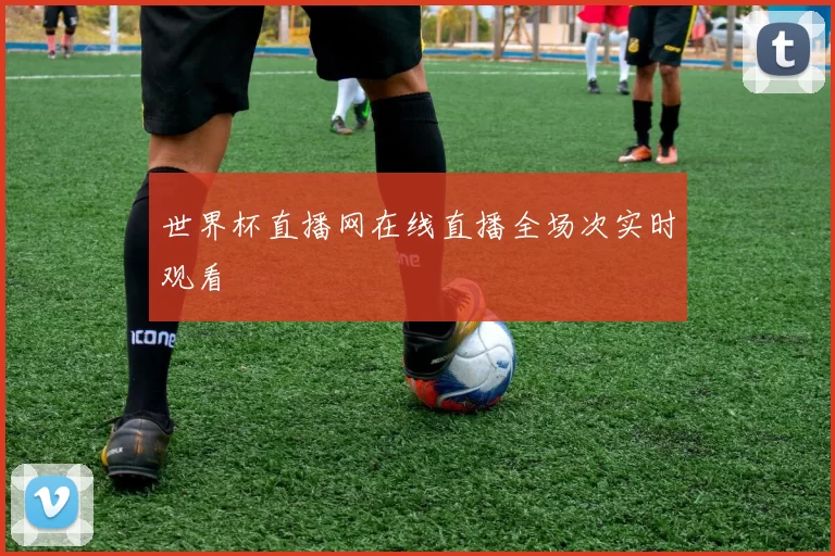 世界杯直播网在线直播全场次实时观看